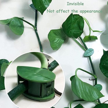 10Pcs Plant Wall Fixture Clips Self-Adhesive Fixture Clips Invisible Support Sticky Vines Hook Green Leaf Fixing Snaps Garden Yards Home