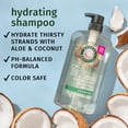 thumbnail image 3 of Herbal Essences Hydrate Coconut Water Shampoo, 3 of 17
