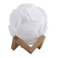 thumbnail image 3 of RKSTN Desk lamp for Office Home DIY Lamp Creative Rose Night Light Gift For Kids,USB Night Light Table lamp, 3 of 3