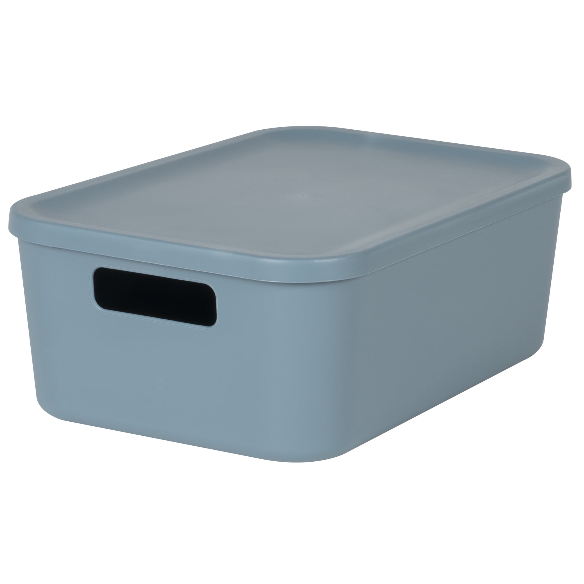 Neatfreak Kids Small Lidded Storage Box, Plastic