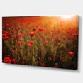 thumbnail image 2 of Dense Poppy Field At Sunset - Floral Canvas Art Print, 2 of 3
