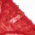 thumbnail image 2 of Sous-vêtements pour Femmes en Maille Transparente Lingerie Broderie Soutien-Gorge et String et Bas, 2 of 5