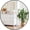 Black, variant on Eastvita 24 Inch Gold Circle Wall Mirror Modern Round Metal Framed Mirror for Bathroom Entryway Living Room Bedroom Dining Room Hallway Decorative Home Décor Easy Mount