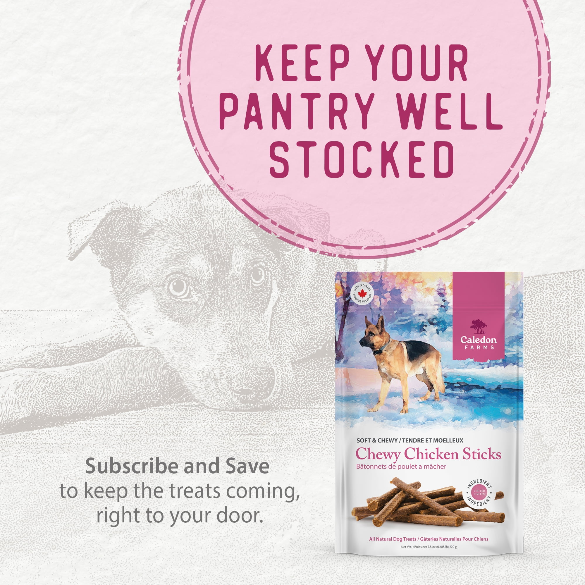 Caledon Farms Chewy Chicken Sticks Friandises pour chiens entièrement naturelles, moelleuses et moelleuses, cuites au four, 220 g