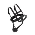 thumbnail image 1 of 3-16 Years Old Kids Ski Shoulder Harness Winter Childrens Ski Safety Belt Teaching Training Belt Safety Anti-Fall Rope, 1 of 5