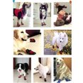 thumbnail image 3 of Waterproof Pet Shoes Boots,Breathable Paw Sole Protectors With Reflective, Rugged Anti-Slip Water Resistant For Small Medium Large Dogs, Pack Of 4 Pcs, 3 of 8