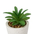 thumbnail image 3 of Succulent Artificiel Anko #2 en Pot, 3 of 5