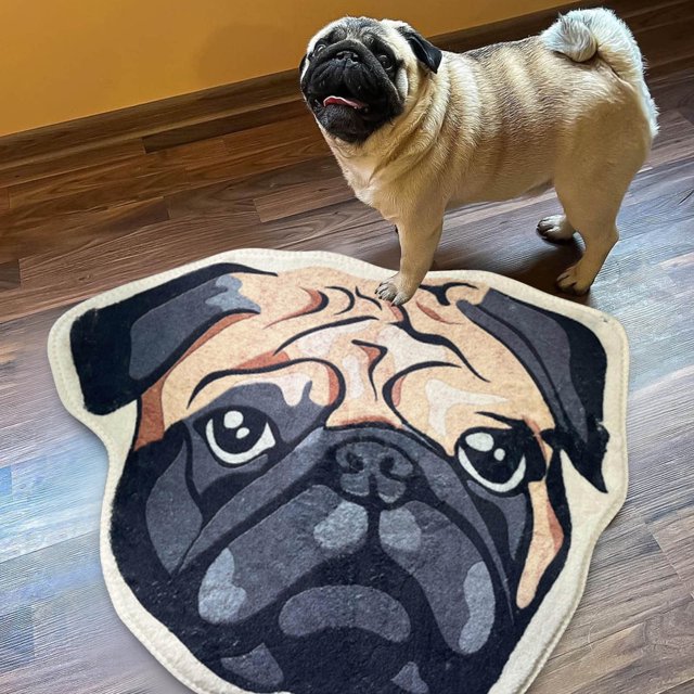 cpengpj Clearance Pet Shaped Rugs Flocked Faux Shaped Rugs