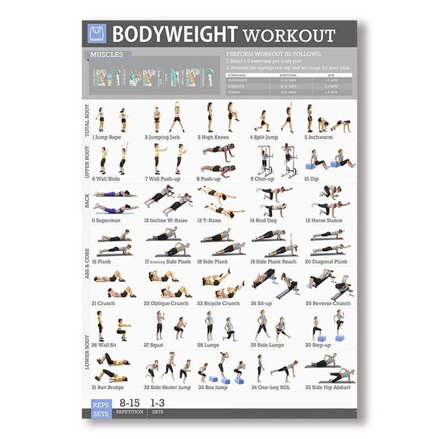 Exercise Poster Workout Poster Fitness Posters 10Pcs Exercise Workout Poster Set Home Gym Workout Poster With Illustrations Yoga Poses Poster Fitness Posters