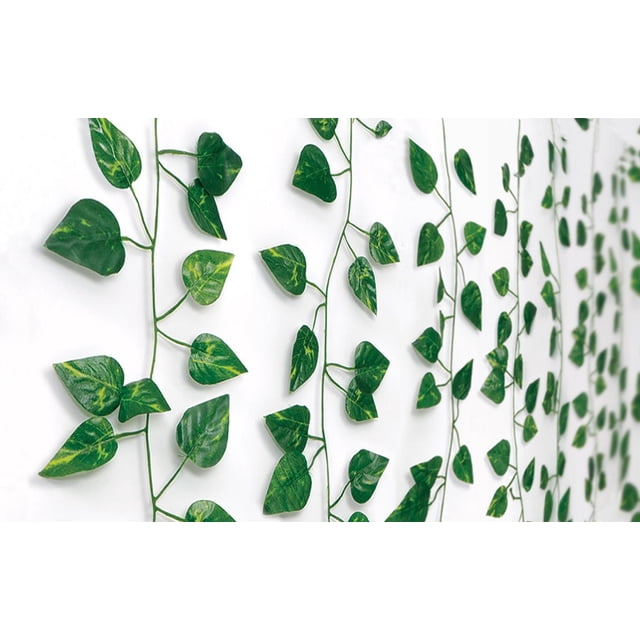 Merkury Vignes à Rideaux en Cascade avec 6 Brins de Feuilles Vertes Artificielles Connectées Présentant une Variation Naturelle, Suspendues Verticalement sur un Mur Blanc, Mesurant 5 Pieds de Haut et 3.5 Pieds de Large, Idéales pour la Déco de la Maison et des accents de Plantes Artificielles, Alimentées par Piles avec des Lumières DEL Blanc Chaud.