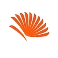 thumbnail image 1 of 12 Pcs Flèches de Chasse à l'Arc Forme de Gouttes Aile Droite 4 Pouces Orange, 1 of 9