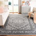 thumbnail image 1 of SAFAVIEH Adirondack Xavier Traditional Area Rug, 1 of 5