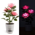 thumbnail image 1 of EGNMCR 3 Led Rose Lantern Solar 3 Heads Rose LED Potted Table Lamp Night Light Solar lantern, 1 of 3