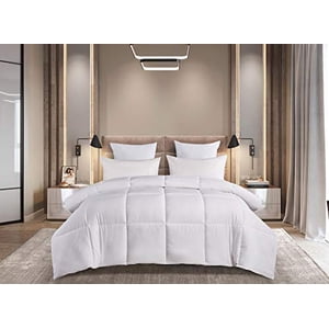 BlueRidge Home Fashion Naples 700 Thread Count Twin in White Color Down Down Alternative Comforter,