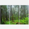 thumbnail image 2 of Hoh Rain Forest - Landscape Photography Canvas Art Print, 2 of 3