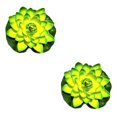 thumbnail image 2 of QualitChoice Artificial Lotus Replacement Simulation Outdoor Garden Park Pond Pool Photography Fake Water Flower Decor Green 2PCS, 2 of 6