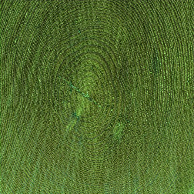 Ahgly Company Machine Washable Indoor Square Transitional Dark Forest Green Area Rugs, 4' Square