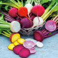 thumbnail image 3 of HJADGG Beet Blend Rainbow Mix Seeds-300 Seeds-Colorful, Heirloom & Open-Pollinated Varieties-Rich in Nutrients, 3 of 3