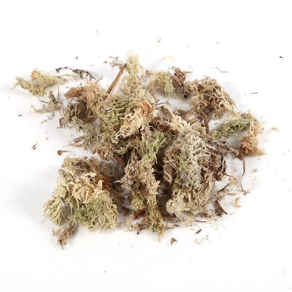 LAFGUR Orchid Sphagnum Moss Phalaenopsis Sphagnum Moss 6L For Flowers Phalaenopsis Orchid
