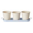 thumbnail image 1 of FRAÎCHE Spring Metal Herb Planter Set, 3 count, 1 of 4