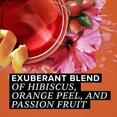 thumbnail image 3 of Tazo Passion Tea | Exotic & Flavorful | 20 Tea Bags Per Box, 3 of 6