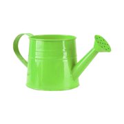 Modern Metal Watering Can for Indoor and Outdoor Gardening Use with Ergonomic Handle and Efficient Sprinkler Head