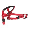 thumbnail image 3 of Dog Head Harness, Dog Head Collar Adjustable Strap Breathable Practical  For Camping Orange,Blue,Red, 3 of 8