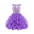 thumbnail image 1 of LOVZFMLL Girl' Summer Short Sleeve Ruffled Round Neck Lace Embroidery Dress Princess Bow Skirt, 1 of 3