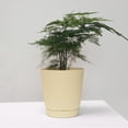 thumbnail image 1 of Oliegs Heated Blanket Small Flower Pot Thickened Plastic Small Pot With Tray Garden Breathable Pot Chocolate, 1 of 4