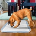 thumbnail image 4 of OUT! Fixe-tapis d'entraînement, 4 of 6