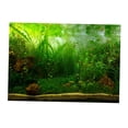 thumbnail image 4 of GROWTH TANK PVC Aquarium Fond Affiche, Réservoir Plantes Paysage Étanche 61x30cm, 4 of 9