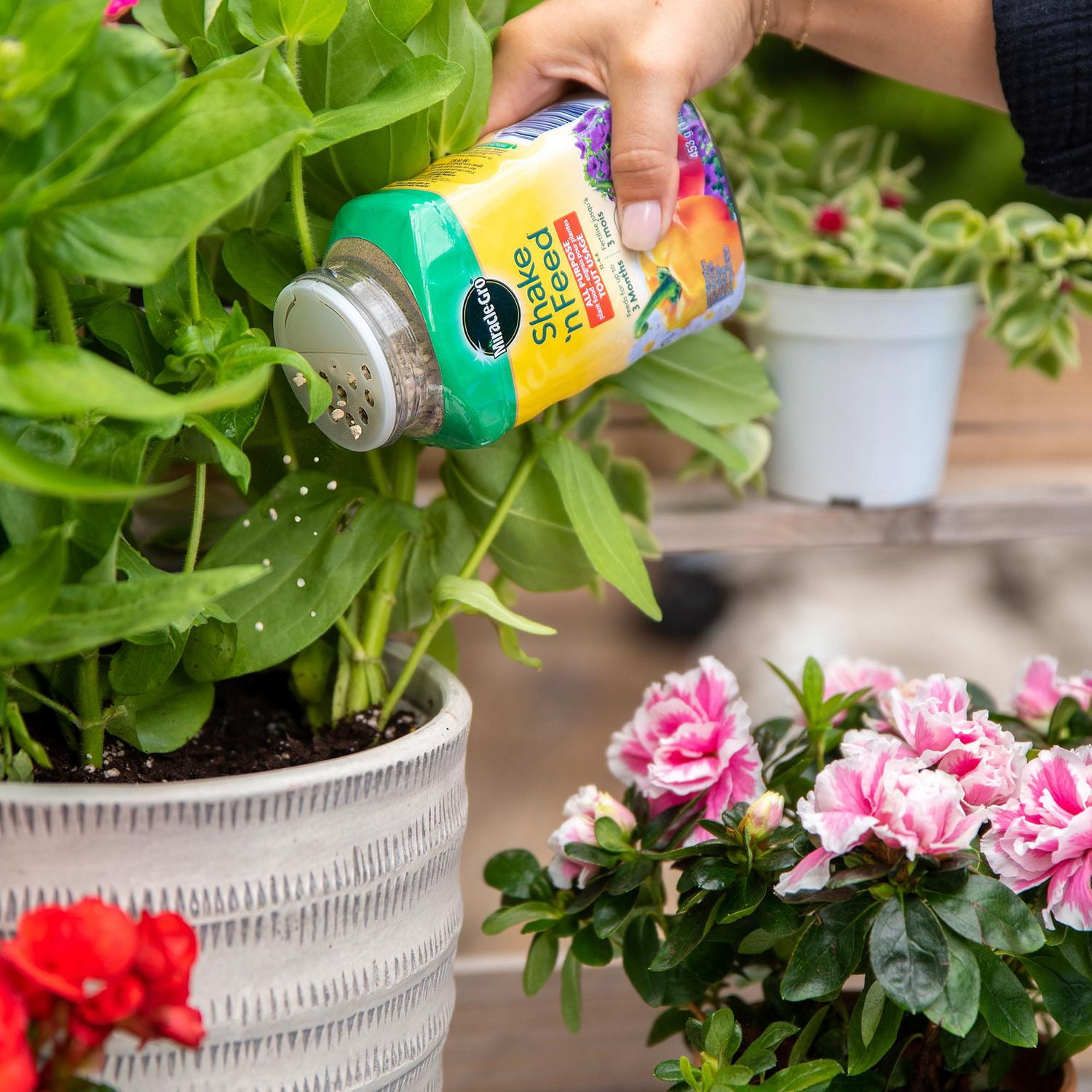 Miracle-Gro Shake N Feed All Purpose Plant Food 12-4-8