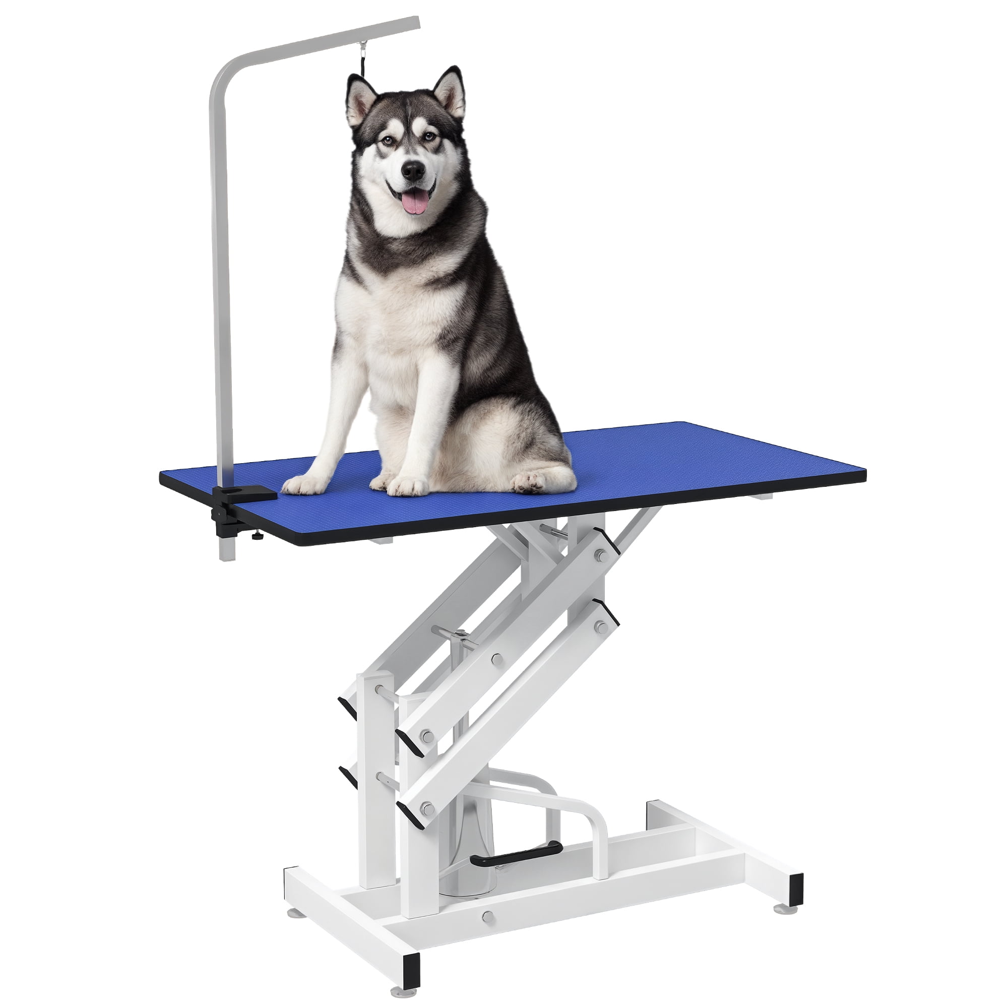PawHut Table de Toilettage pour Animaux à Hauteur Réglable pour Chiens Bleu