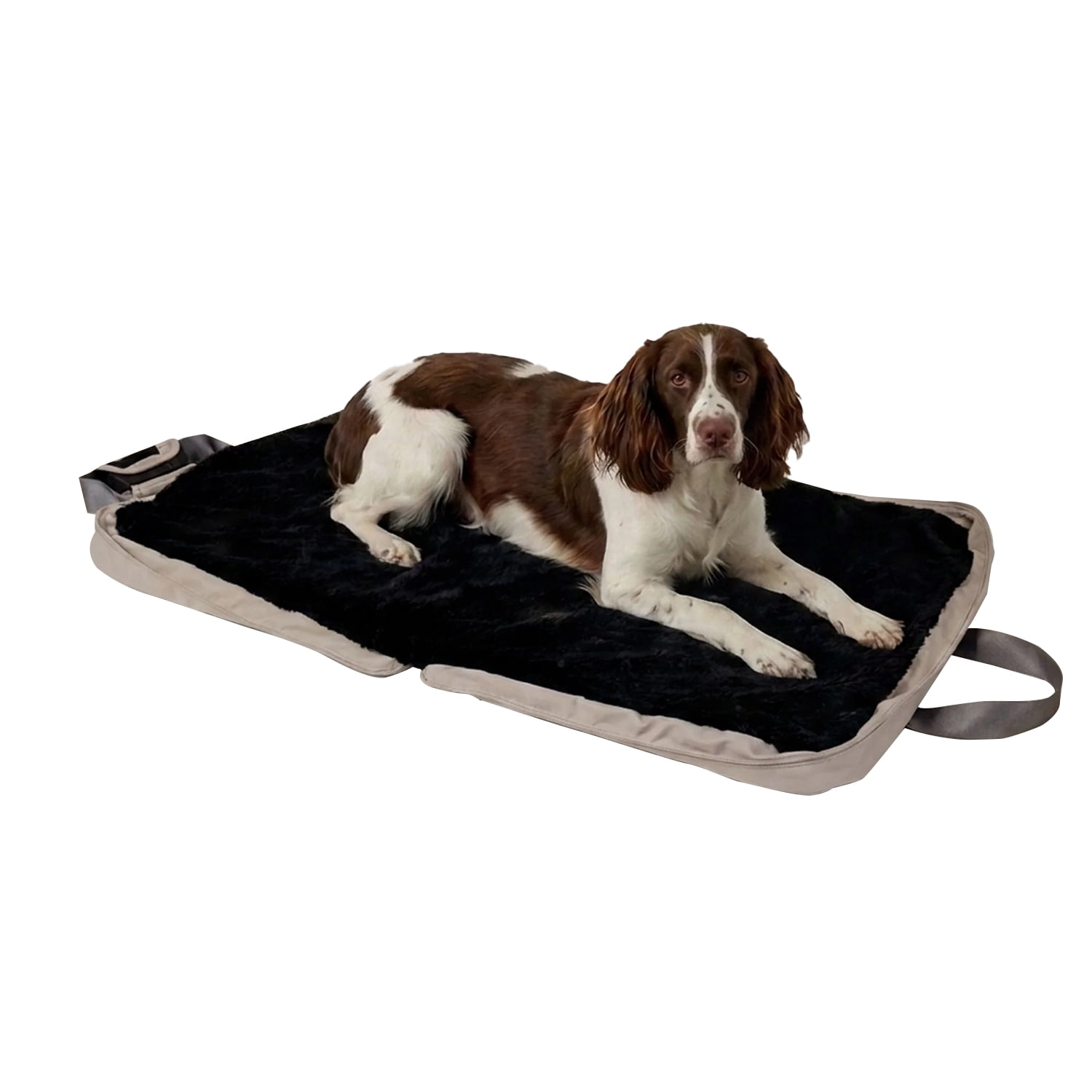 Instachew Gus Travel Pet Bed for Cats & Dogs, Sandy L