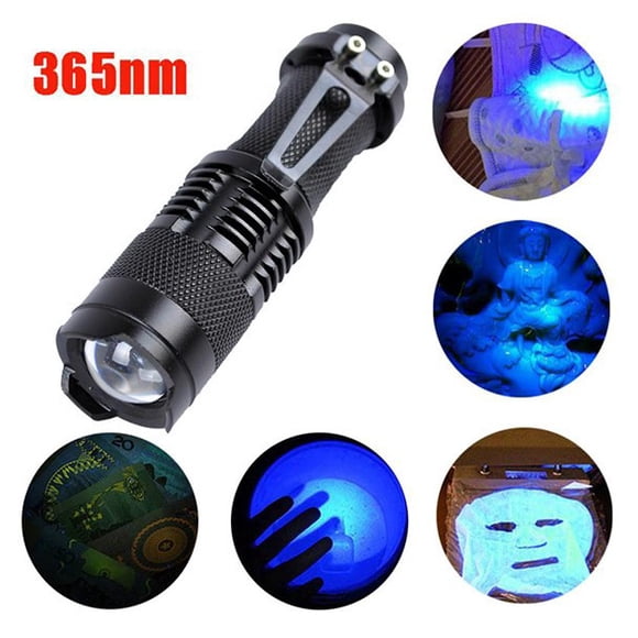 Daisyyozoid Wholesale Zoomable Led UV Flashlight Torch Light 365nm Ultra Violet Blacklight AA Battery