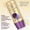 thumbnail image 3 of Gold Series from Pantene Miracle Detangler with Argon Oil, 236mL, 3 of 8
