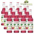 thumbnail image 1 of Monin Premium Grenadine Syrup, Authentic Red Berry & Vanilla Cocktail Mixer, 750 mL (25.4 oz) Glass Bottles, Professional Bulk Case of 12, 1 of 5