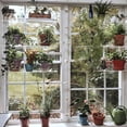 thumbnail image 1 of Transparent Commodity Shelf Multi-Layer Plant Shelf Acrylic Hanging Bracket Elegant Plant Stand Beautiful Hanging Shelf for Plant Pots Flower Pots Window Living Room Bedroom, 1 of 9