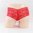 thumbnail image 4 of Fridja Lace Men Inner Large Size Men's Boxer Low Waist Transparent T Pants Underwear Classic Multipack Panties, 4 of 4