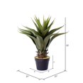 thumbnail image 2 of Vickerman FO182101 Pot d'Aloès Vert de 22 Po, 2 of 2