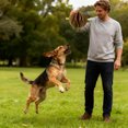 thumbnail image 2 of Dispenser Interactive Feeding Solution for Food Dispensing Slow Feeder Alternative to Enhance and Mental Stimulation for Dogs, 2 of 4