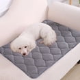 thumbnail image 1 of Meitianfacai Winter Plush Pet Mat Cats Mat Dog Mat Kennel Mat Winter Warm Wear Counteractive Scratch Counteractive Biting Counteractive Washable Puffy Mat, Gray, 1 of 6