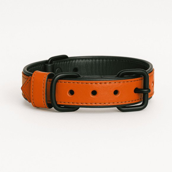 Dog Collar, Handmade Genuine Leather Dog Collar, Orange with Bottle Green Inner Liner, Adjustable Buckle. Buddies Collars
