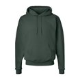 thumbnail image 1 of Fleece Ecosmart Hooded Sweatshirt, 1 of 1