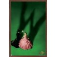 thumbnail image 1 of Wicked - Fiche d'introduction, 1 of 4