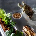 thumbnail image 2 of BELOVING Reptile Terrapin Tortue Tortue Terrarium Réservoir Vivarium Boîte d'Alimentation - Blanc, 2 of 10