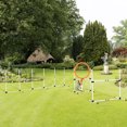 thumbnail image 2 of PawHut 3 Piece Dog Agility Training Equipment for Indoor & Outdoor, 2 of 10