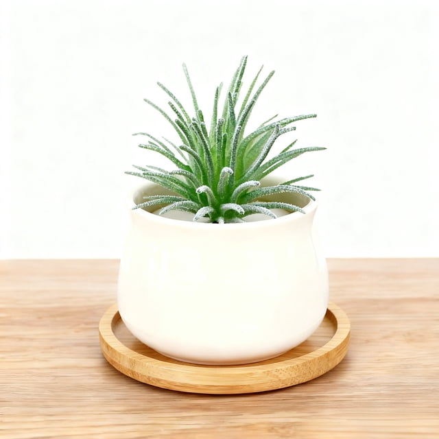 Lifelike Succulent Arrangement Modern Farmhouse For Home Desk