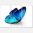 thumbnail image 2 of Designart Vibrant Blue Butterfly Canvas Wall Art, 2 of 4