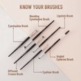 thumbnail image 5 of Swiss Beauty Professional Makeup Brush Set (12 Pcs) - Black, 5 of 5